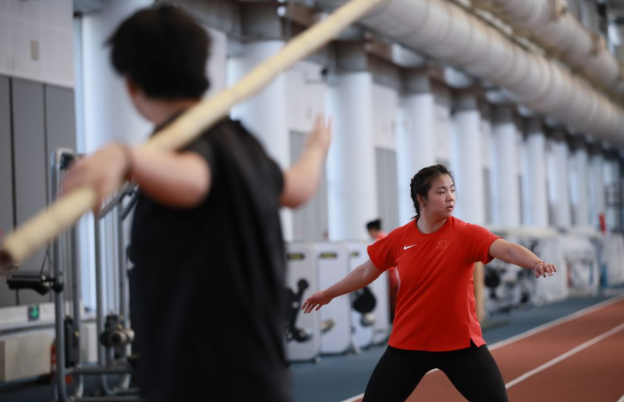 揭秘百家乐软件中的赔率与投注选项
